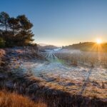 Wine is good for health?